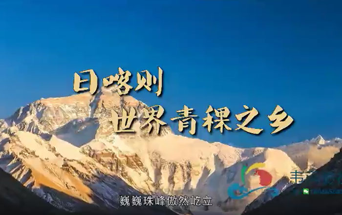 西安宣傳片拍攝公司日喀則青稞之鄉宣傳片